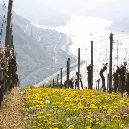 巴哈拉赫度假公寓 公寓