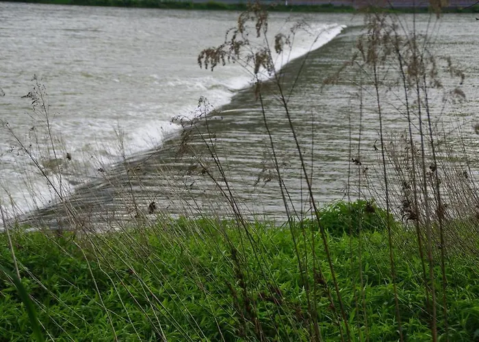 Ferienwohnung Bacharach باشاراش