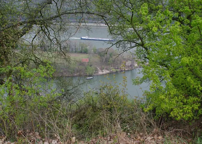 شقة Ferienwohnung Bacharach باشاراش