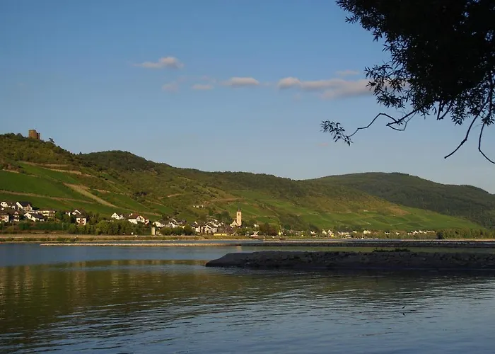 شقة Ferienwohnung Bacharach باشاراش